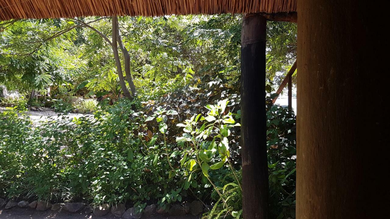 Mufasa Eco Lodge Monkey Bay المظهر الخارجي الصورة